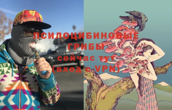 ПСИЛОЦИБИНОВЫЕ ГРИБЫ Володарск