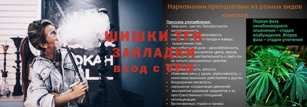 ПСИЛОЦИБИНОВЫЕ ГРИБЫ Володарск