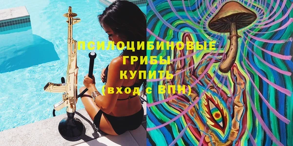 ПСИЛОЦИБИНОВЫЕ ГРИБЫ Володарск